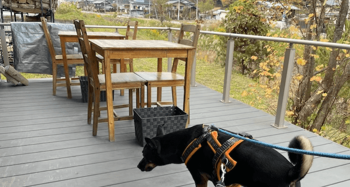 犬連れでランチできるチロルのテラス席