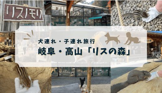 【リスの森】高山旅行のおすすめスポット！犬もOK、子連れに最高な「飛騨山野草自然庭園」をレビュー