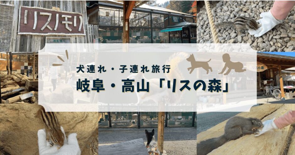 高山の子連れおすすめ犬OKスポットの「リスの森」のレビュー