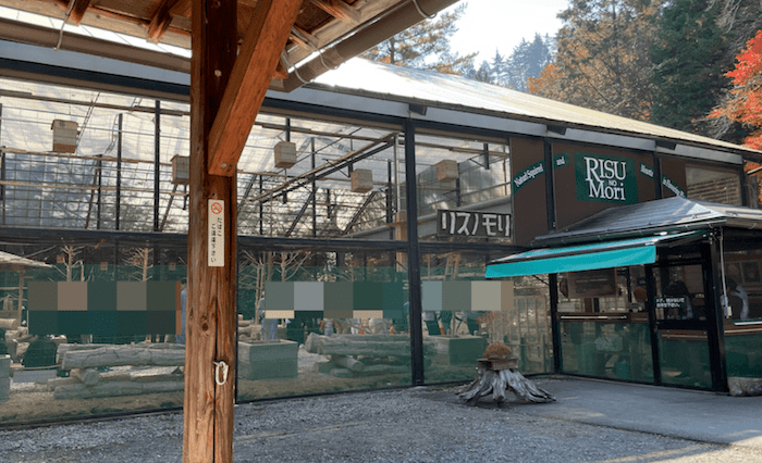 リスの森のリスがいる建物