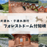 犬連れ・子連れで川遊びキャンプを楽しめる！「フォレストドーム付知峡」の宿泊レビュー