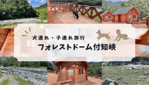 犬連れ・子連れで川遊びキャンプを楽しめる！「フォレストドーム付知峡」の宿泊レビュー