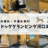 犬連れ旅行におすすめ「ドッググランピング河口湖」の宿泊レビュー
