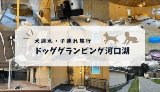 犬連れ旅行におすすめ「ドッググランピング河口湖」の宿泊レビュー