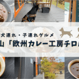岐阜高山で犬連れ・子連れOK！【欧風カレー工房チロル】でのランチが最高すぎた