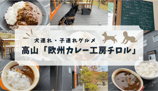 岐阜高山で犬連れ・子連れOK！【欧風カレー工房チロル】でのランチが最高すぎた