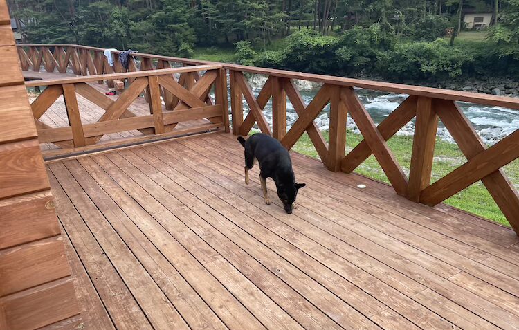 フォレストドーム付知峡のログハウスのデッキ