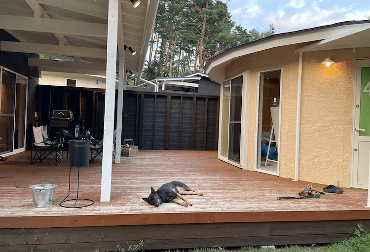 ドッググランピング河口湖は犬連れ旅行におすすめ