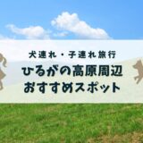 【岐阜ひるがの高原】周辺の犬連れ・子連れおすすめ観光・飲食店まとめ
