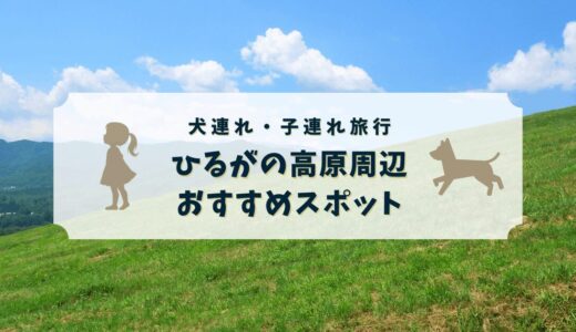 【岐阜ひるがの高原】周辺の犬連れ・子連れおすすめ観光・飲食店まとめ